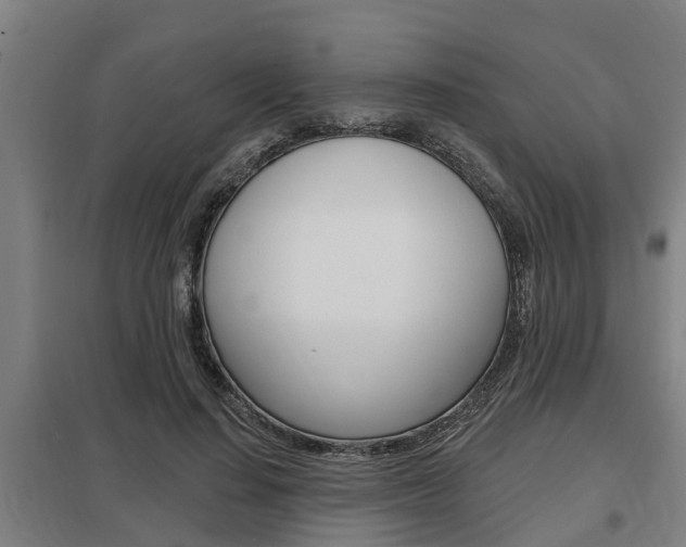 X0000098030644200803280732