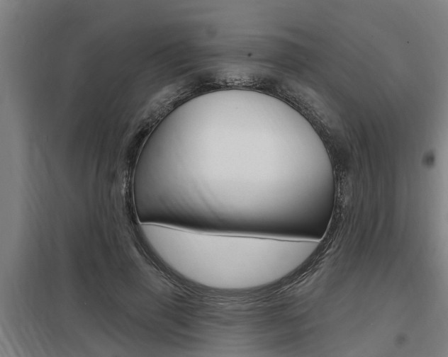X0000098030645200803280732