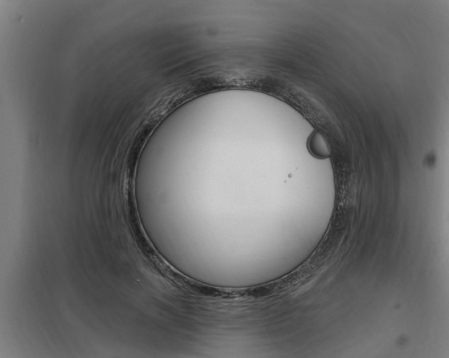 X0000098030646200803280732