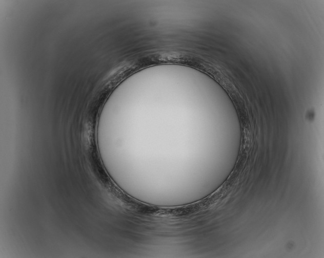 X0000098030648200803280732