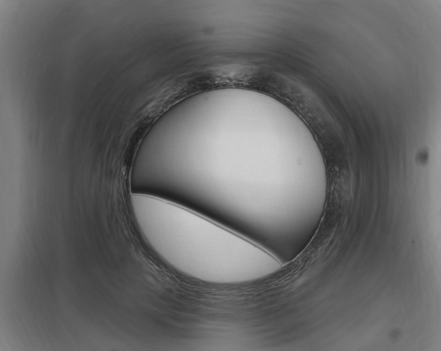 X0000098030649200803280732