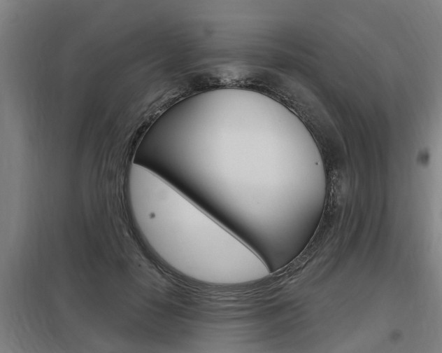 X0000098030650200803280732