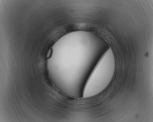 X0000098030653200803280732