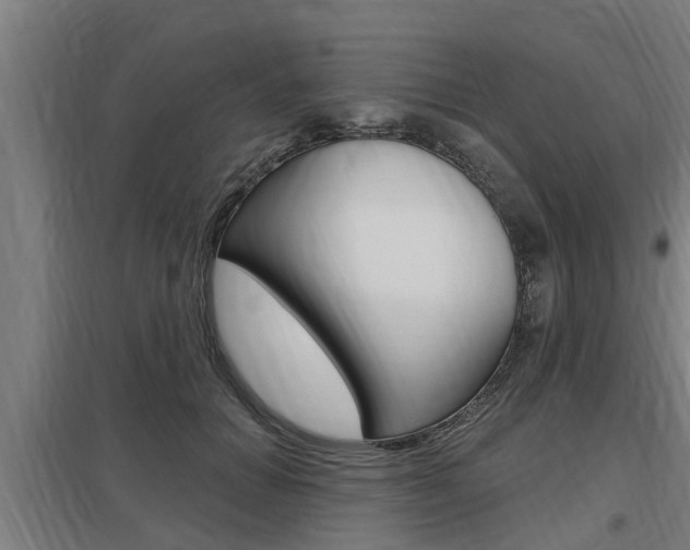 X0000098030654200803280732
