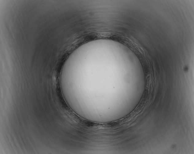 X0000098030655200803280732