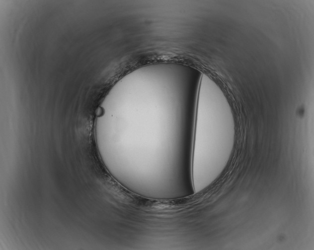 X0000098030657200803280732