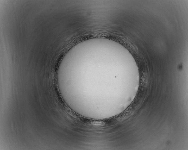 X0000098030659200803280732