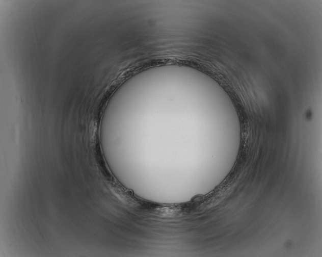 X0000098030660200803280732