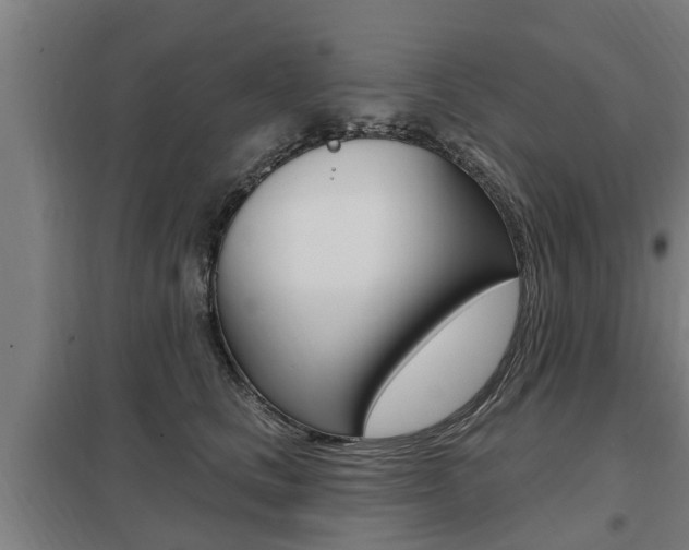 X0000098030661200803280732