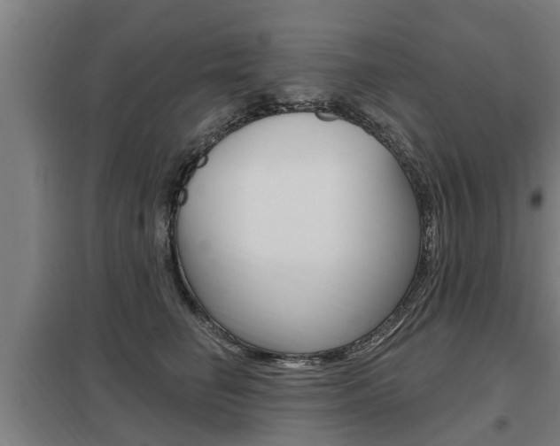 X0000098030662200803280732
