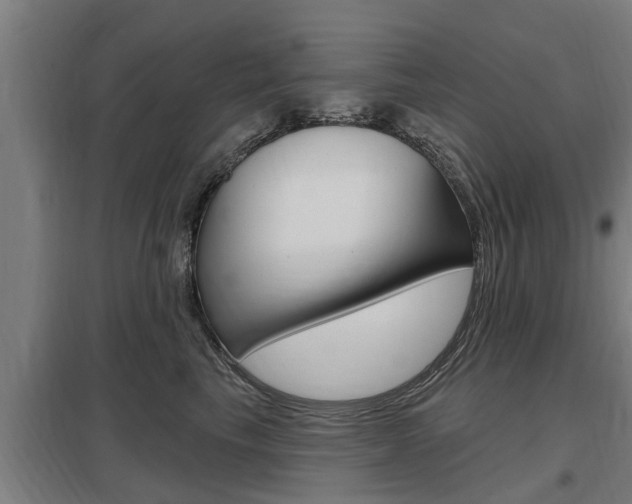X0000098030665200803280732