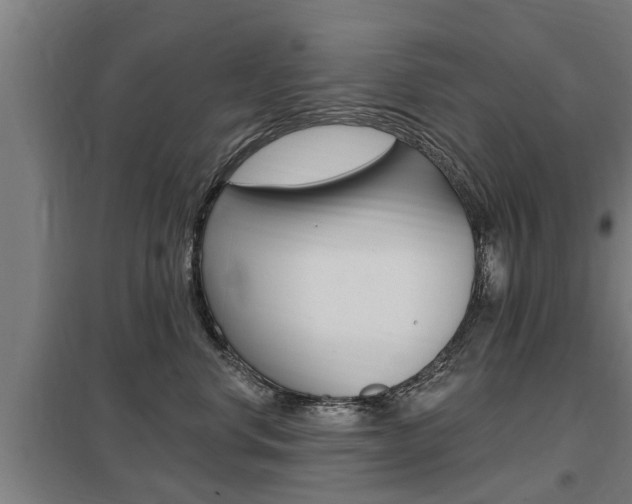 X0000098030668200803280732