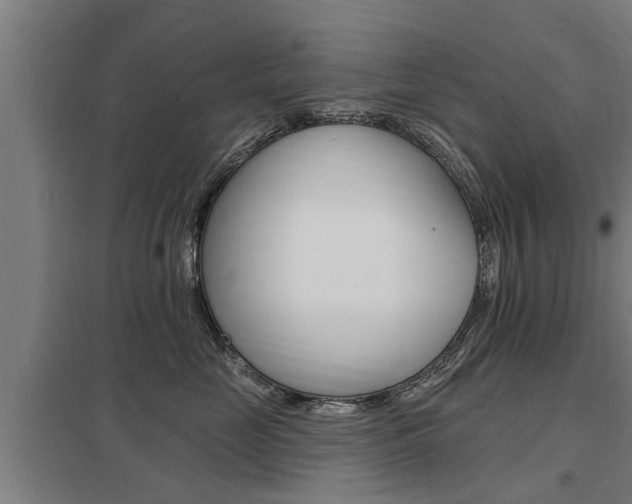 X0000098030669200803280732