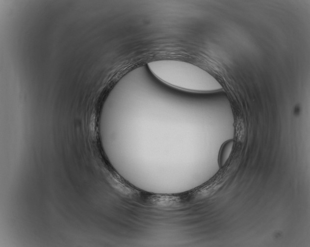X0000098030670200803280732