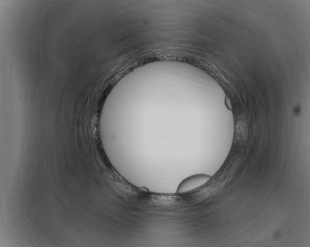 X0000098030671200803280732