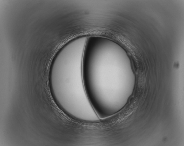 X0000098030673200803280731