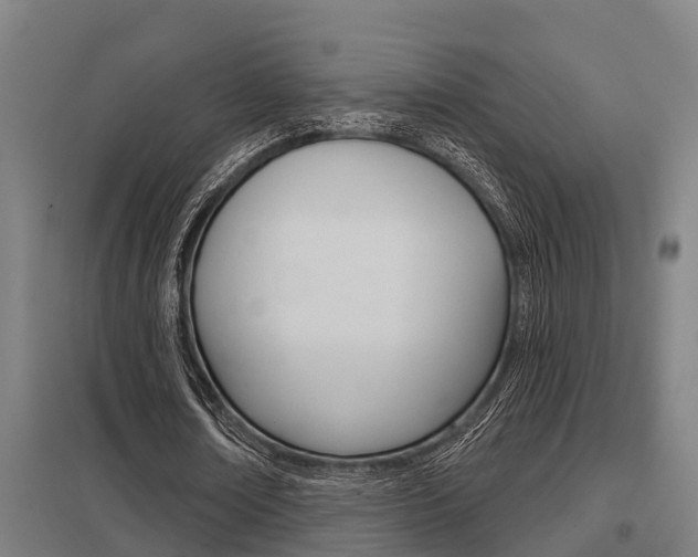 X0000098030674200803280731