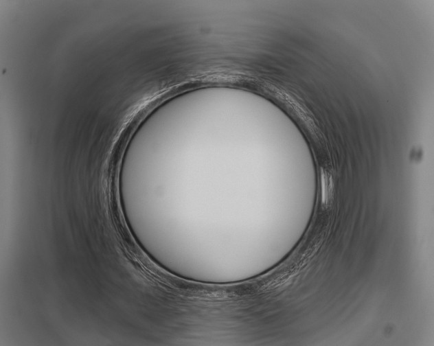X0000098030675200803280731