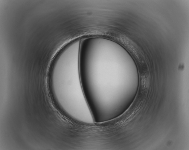 X0000098030676200803280731