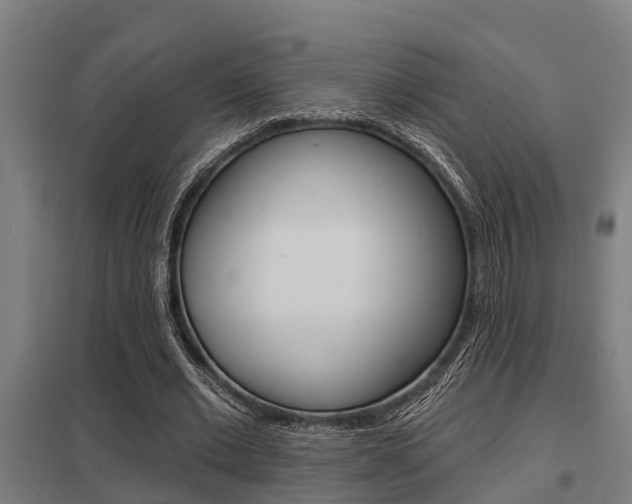 X0000098030677200803280731