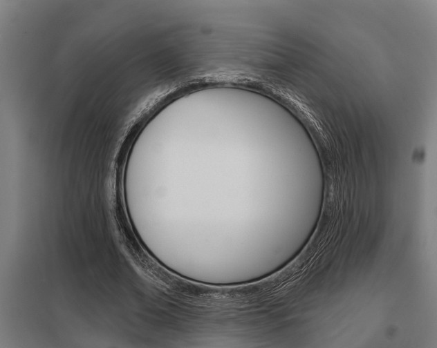 X0000098030678200803280731