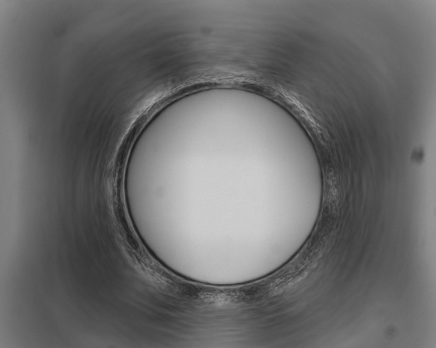X0000098030679200803280731