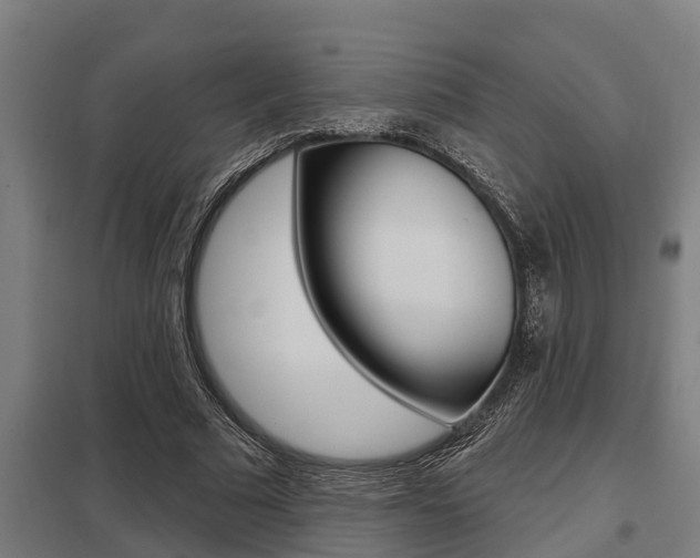 X0000098030681200803280731