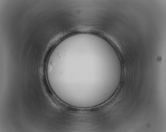 X0000098030682200803280731