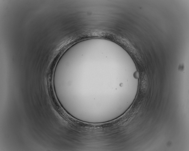 X0000098030683200803280731