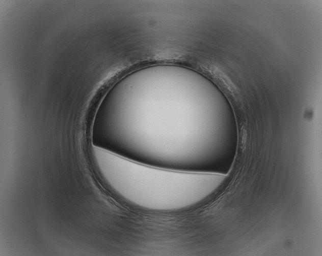 X0000098030684200803280731