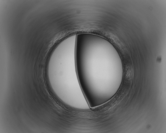X0000098030685200803280731