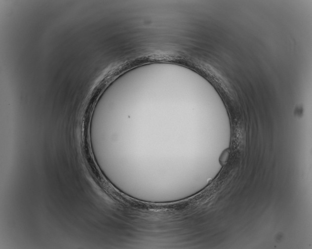 X0000098030686200803280731
