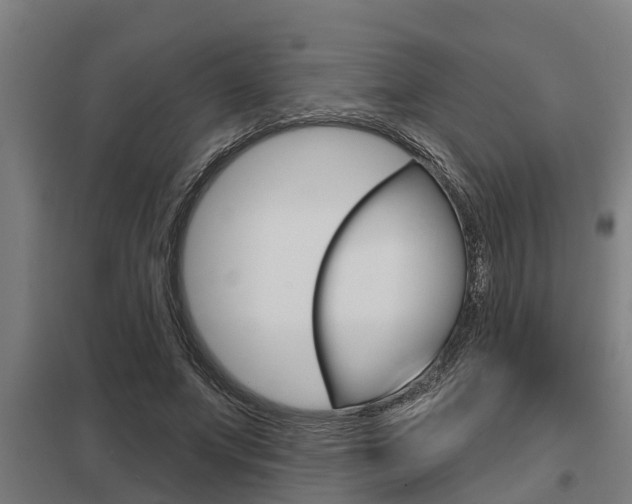 X0000098030687200803280731