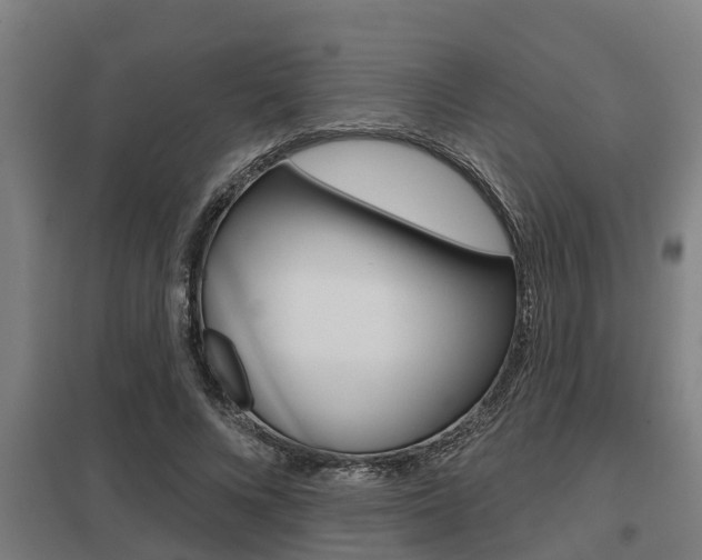 X0000098030688200803280731