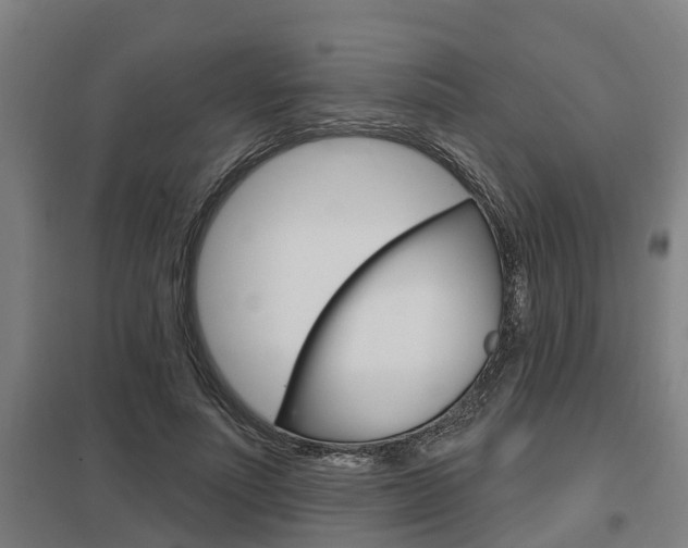 X0000098030691200803280731