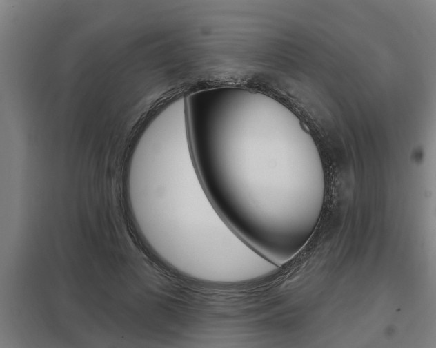 X0000098030693200803280731