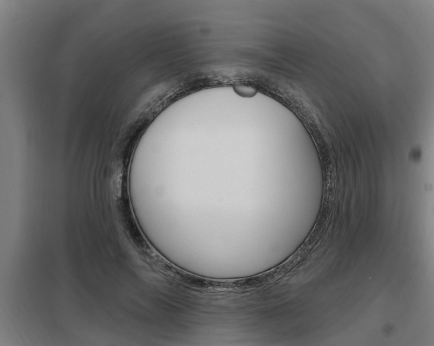 X0000098030694200803280731