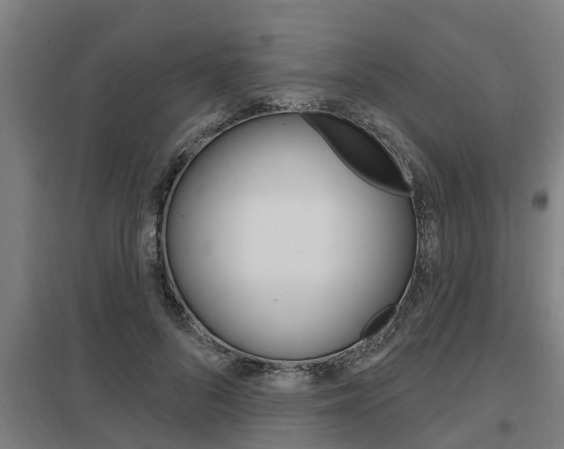 X0000098030696200803280731