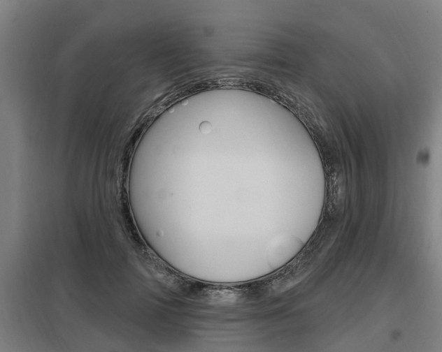 X0000098030698200803280731