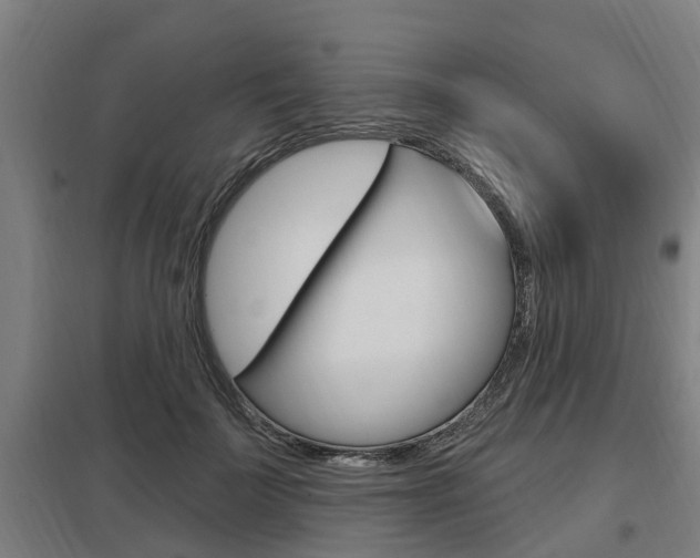 X0000098030699200803280731