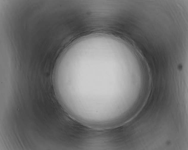 X0000098030701200803280731