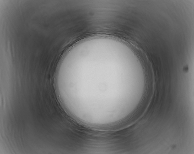 X0000098030705200803280731