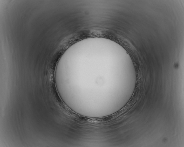 X0000098030706200803280731