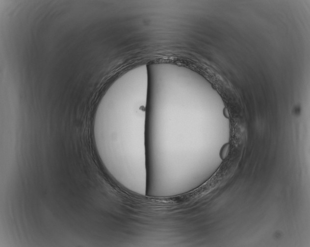 X0000098030707200803280731