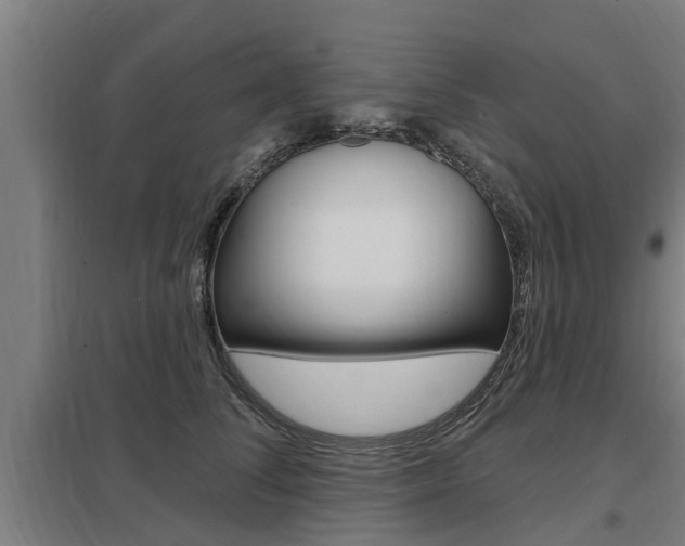X0000098030708200803280731