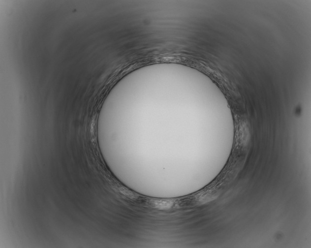 X0000098030709200803280731