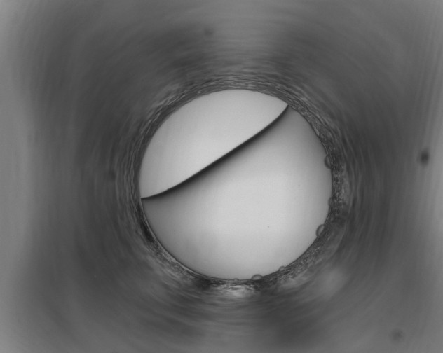 X0000098030711200803280731