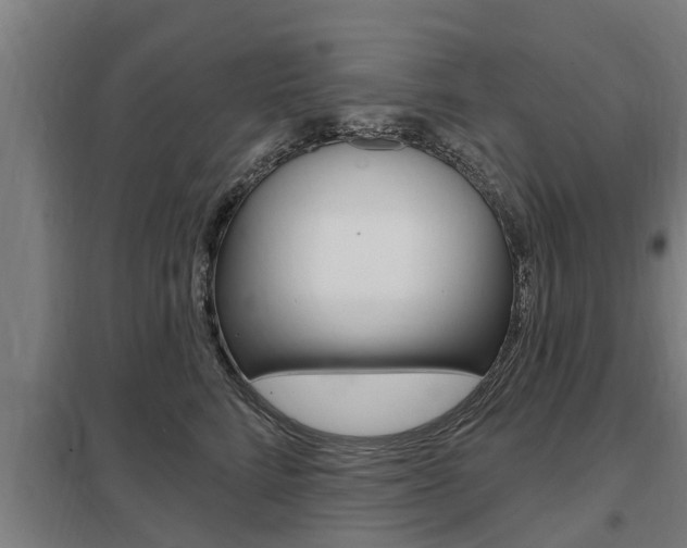 X0000098030712200803280731