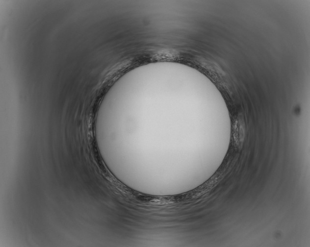 X0000098030714200803280731