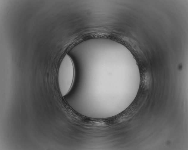 X0000098030715200803280731